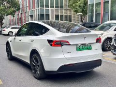 Tesla Model Y Rear-Wheel Drive - ფოტო 9