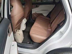 Wuling Bingguo S 325km Deluxe Edition - ფოტო 13
