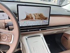 Wuling Bingguo S 325km Deluxe Edition - ფოტო 9