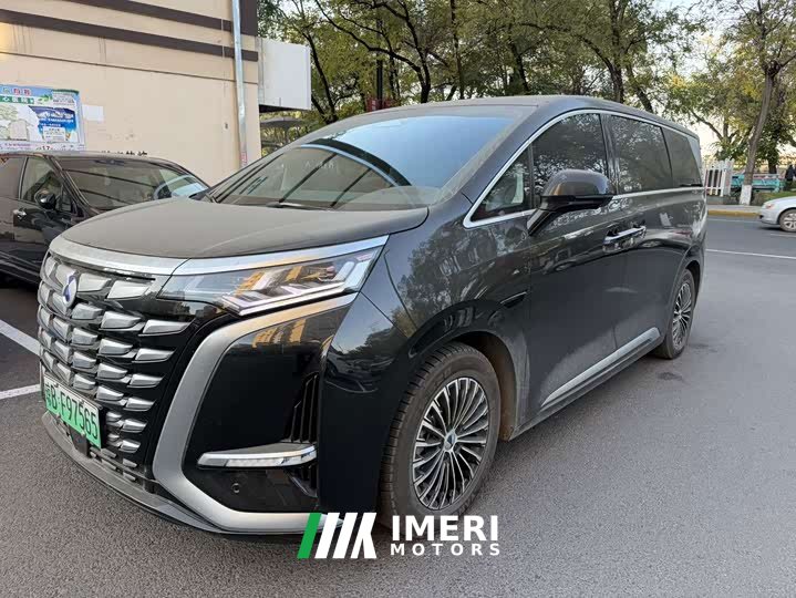 Denza D9 DM-i 970 AWD Premium Edition
