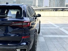 BMW X5 xDrive 30Li Luxury M Sport Package - ფოტო 10