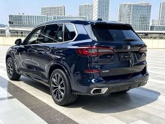 BMW X5 xDrive 30Li Luxury M Sport Package - ფოტო 12