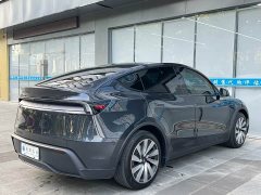 Tesla Model Y Rear-Wheel Drive - ფოტო 12