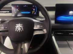 BYD Qin PLUS DM-i Smart Drive Edition 55KM Leading - ფოტო 12