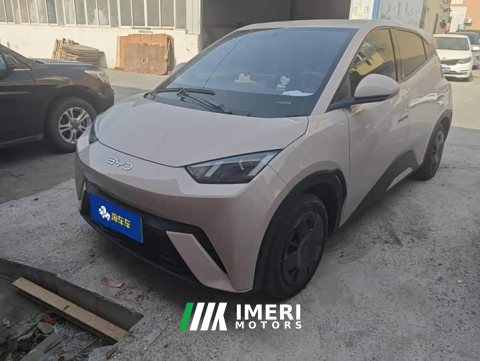 2024 BYD Seagull 2025 305km Vitality Edition - ავტომობილი ჩინეთიდან