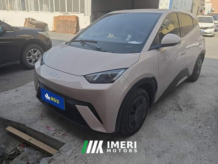 BYD Seagull 305km Vitality Edition