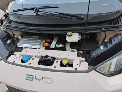 BYD Seagull 2025 305km Vitality Edition - ფოტო 10