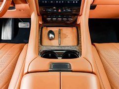 Yangwang U8 2023 Luxury Edition - ფოტო 15