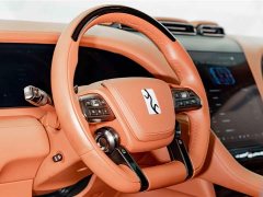 Yangwang U8 2023 Luxury Edition - ფოტო 9