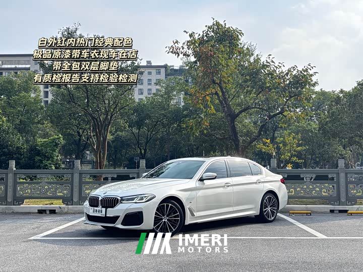 BMW 5 Series 530Li Premier M Sport Package