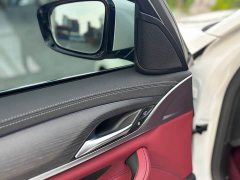 BMW 5 Series 530Li Premier M Sport Package - ფოტო 14