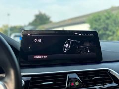 BMW 5 Series 530Li Premier M Sport Package - ფოტო 17