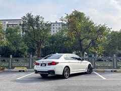 BMW 5 Series 530Li Premier M Sport Package - ფოტო 4