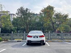 BMW 5 Series 530Li Premier M Sport Package - ფოტო 5