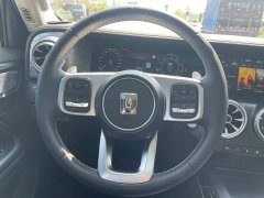 Tank 300 2.0T Explorer - ფოტო 19