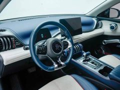 BYD Yuan Plus 2022 430KM Luxury - ფოტო 15