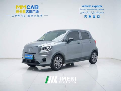 2021 Leapmotor T03 400 Lite Enjoy Edition Ternary Lithium