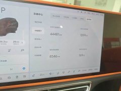 Li Auto L8 Pro - ფოტო 7