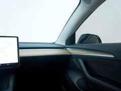 Tesla Model 3 Standard Range RWD Upgrade - ფოტო 16