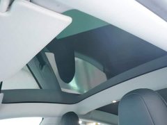 Tesla Model 3 Standard Range RWD Upgrade - ფოტო 7