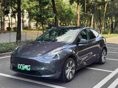 Tesla Model Y Standard Range RWD - ფოტო 1