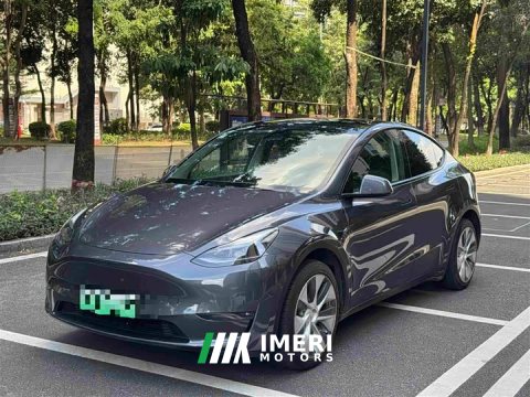 2021 Tesla Model Y Standard Range RWD - ავტომობილი ჩინეთიდან