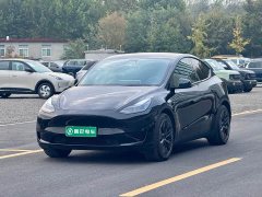 Tesla Model Y Rear-Wheel Drive - ფოტო 1