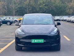 Tesla Model Y Rear-Wheel Drive - ფოტო 2