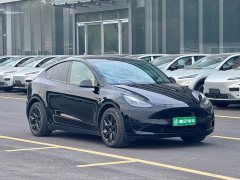 Tesla Model Y Rear-Wheel Drive - ფოტო 3