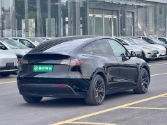 Tesla Model Y Rear-Wheel Drive - ფოტო 4