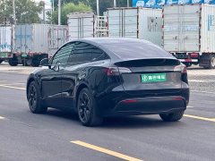 Tesla Model Y Rear-Wheel Drive - ფოტო 6