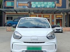SAIC Clever 311km Vitality Pop Edition - ფოტო 2