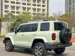 Tank 300 2021 City Edition 2.0T Stylish - ფოტო 15