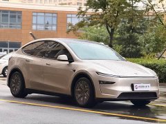 Tesla Model Y L 2025 Long Range All-Wheel Drive - ფოტო 3