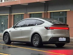 Tesla Model Y L 2025 Long Range All-Wheel Drive - ფოტო 4