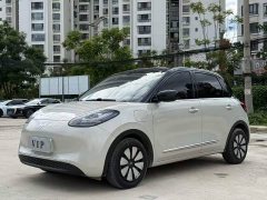 Wuling Binguo 333km Joy Edition - ფოტო 1