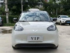 Wuling Binguo 333km Joy Edition - ფოტო 2