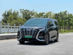 Denza BYD Denza D9 DM-i 980 Four-Wheel Drive Flagship - ფოტო 1