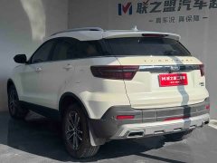 Ford Lingjie 2020 Lingjie S EcoBoost 145 CVT Platinum Edition - ფოტო 4