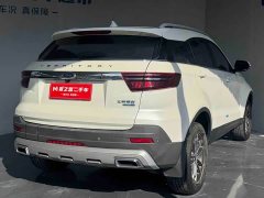 Ford Lingjie 2020 Lingjie S EcoBoost 145 CVT Platinum Edition - ფოტო 6