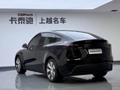 Tesla Model Y Rear-Wheel Drive - ფოტო 3