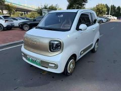 FAW Besturn Xiaoma 2026 222km Colorful Edition - ფოტო 1