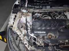 Nissan Qashqai 2.0L CVT XV Premium Luxury - ფოტო 20