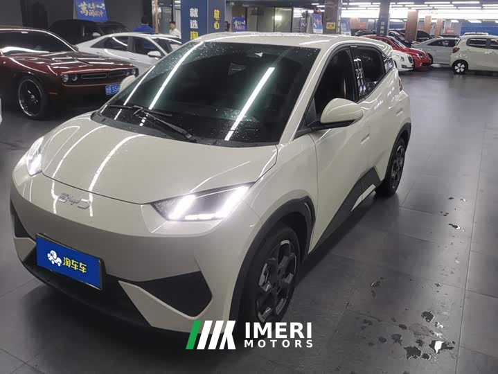 BYD Seagull 2025 Smart Drive 405km Freedom Edition - ავტომობილი ჩინეთიდან