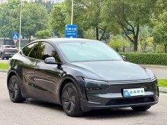 Tesla Model Y Rear-Wheel Drive - ფოტო 3