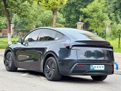 Tesla Model Y Rear-Wheel Drive - ფოტო 6