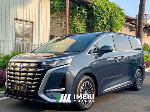 2024 Denza D9 DM-i 1050 Premium - ავტომობილი ჩინეთიდან
