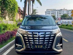 Denza BYD Denza D9 DM-i 1050 Premium - ფოტო 2