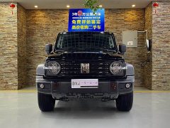 Tank 300 2025 2.0T Gasoline Conqueror - ფოტო 2