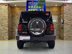 Tank 300 2025 2.0T Gasoline Conqueror - ფოტო 4